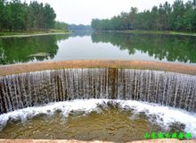 中國豆制品第一鎮