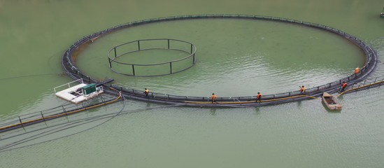 尼勒克縣:深耕“水上糧倉” 打造高質(zhì)量發(fā)展“綠色引擎”